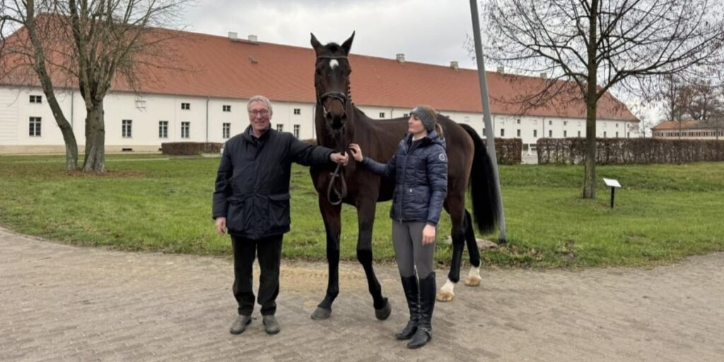 STALLONIok